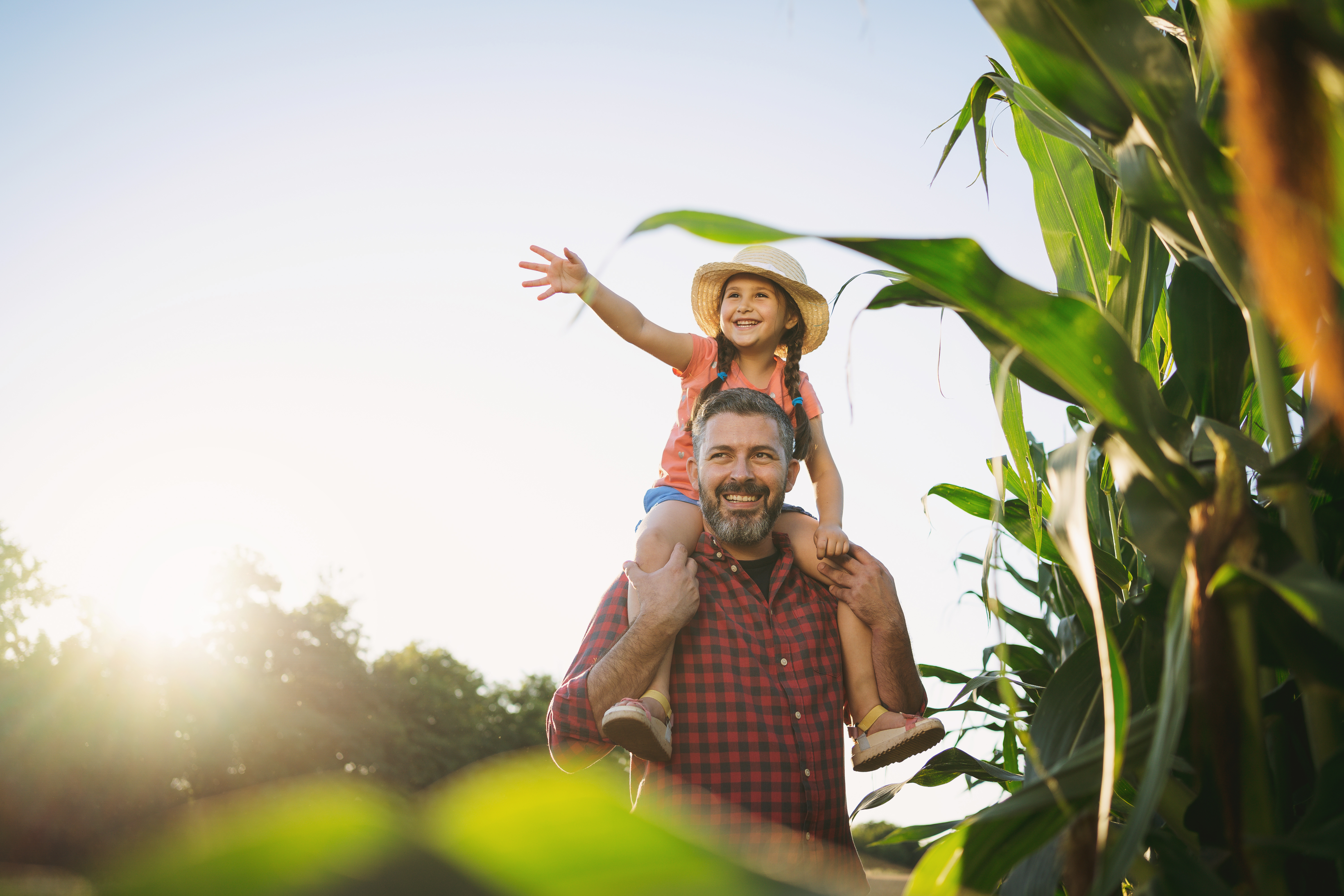 A Growing Generation of Renewables