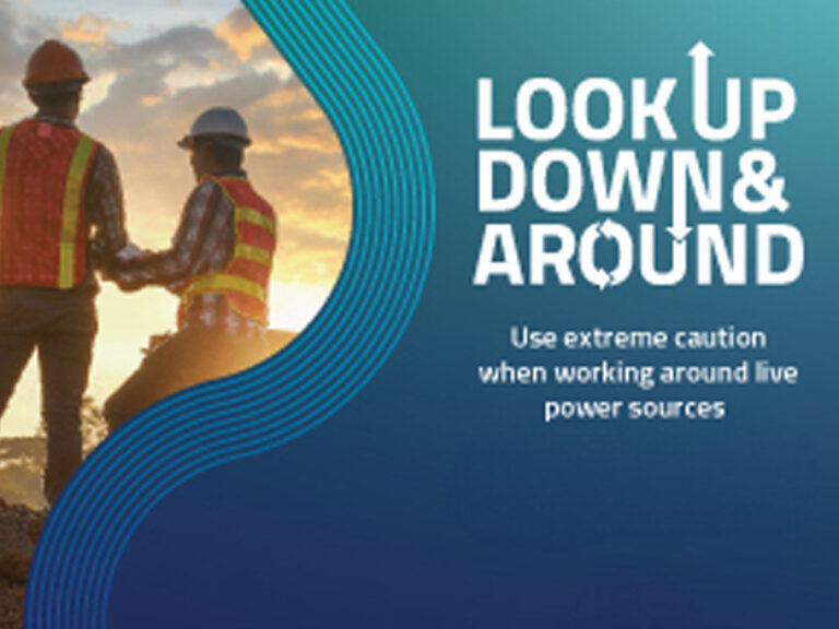 Look Up Down & Around - Your Coop Power